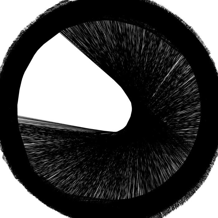 A dense render made of thousands of overlapping hairlines